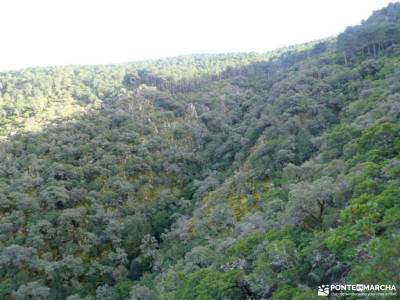 Las Hurdes -Tras los pasos de Alfonso XIII; orbaneja del castillo rutas bosque muniellos arribes due